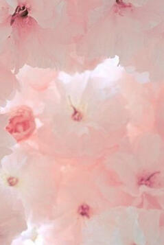 girls planet 999 top picks